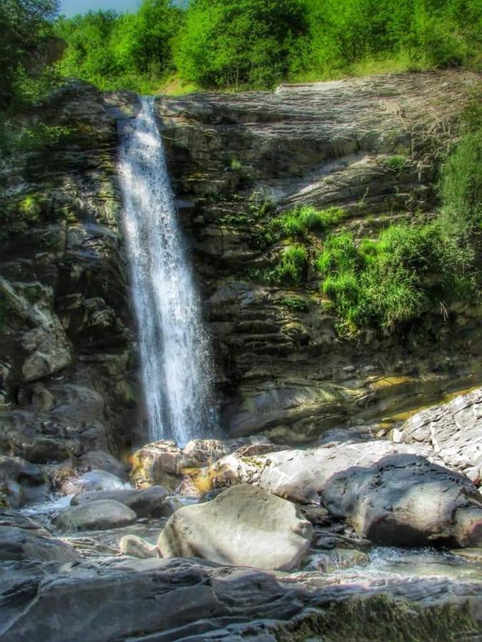 La Casetta Della Nonna Sant'Anna Pelago Eksteriør billede